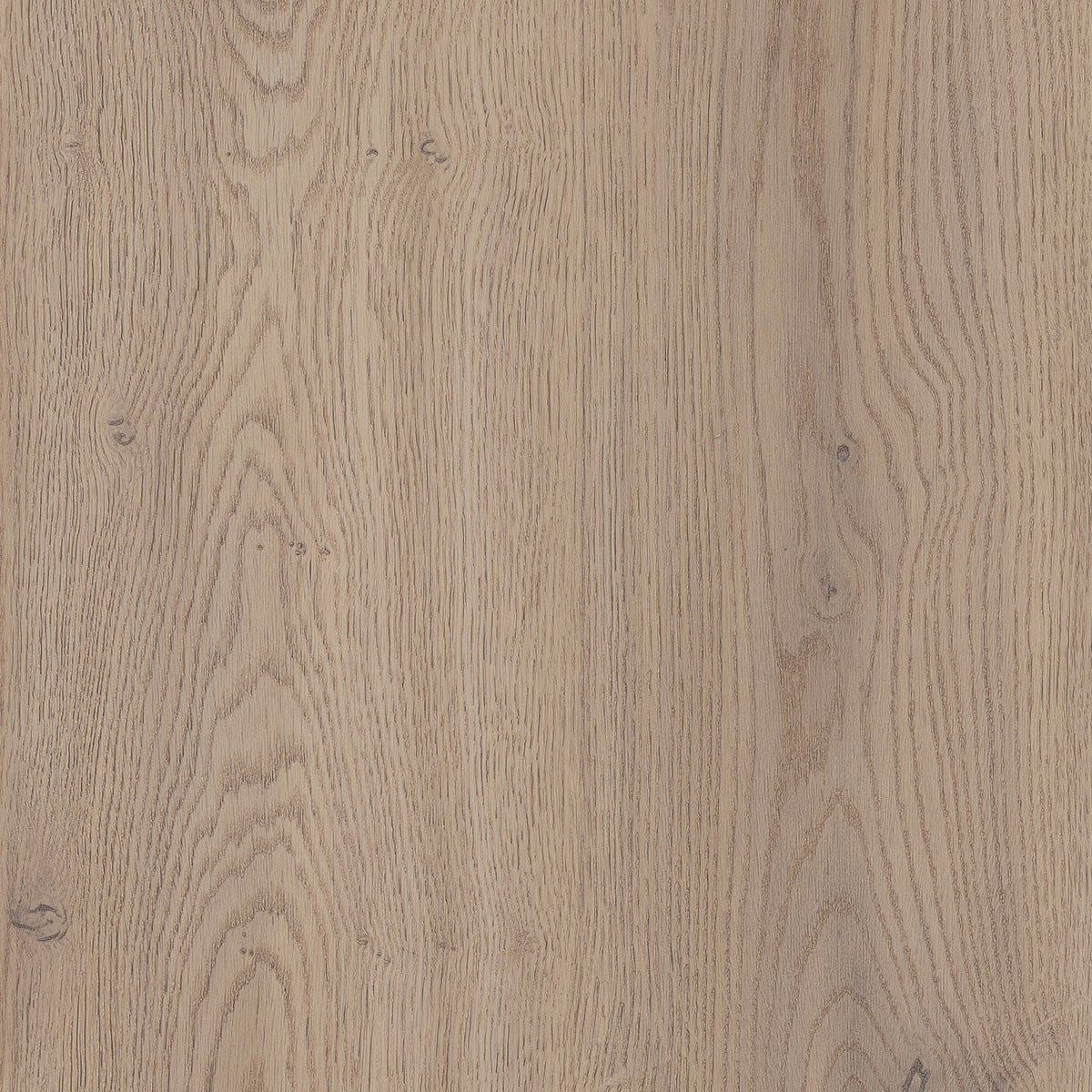 Cremona Oak Cannolo