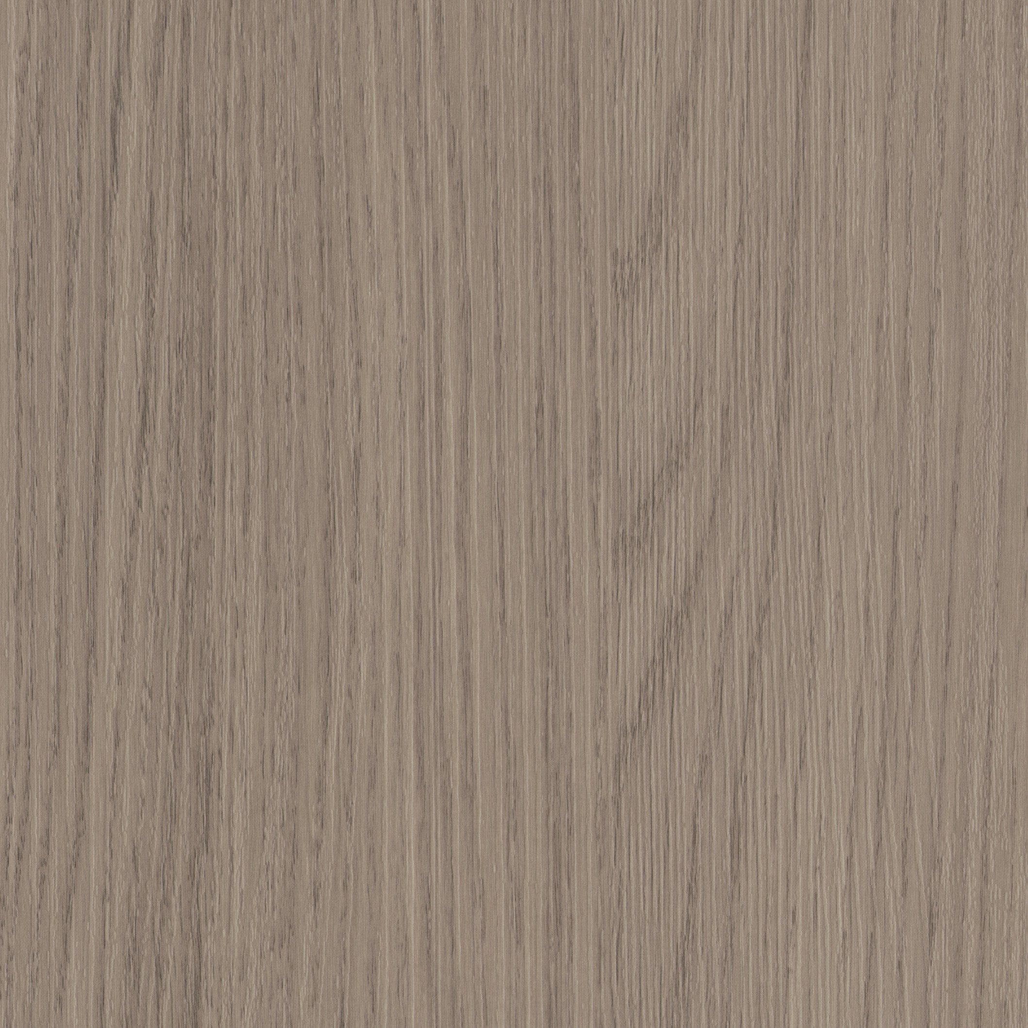 Grey Vicenza Oak
