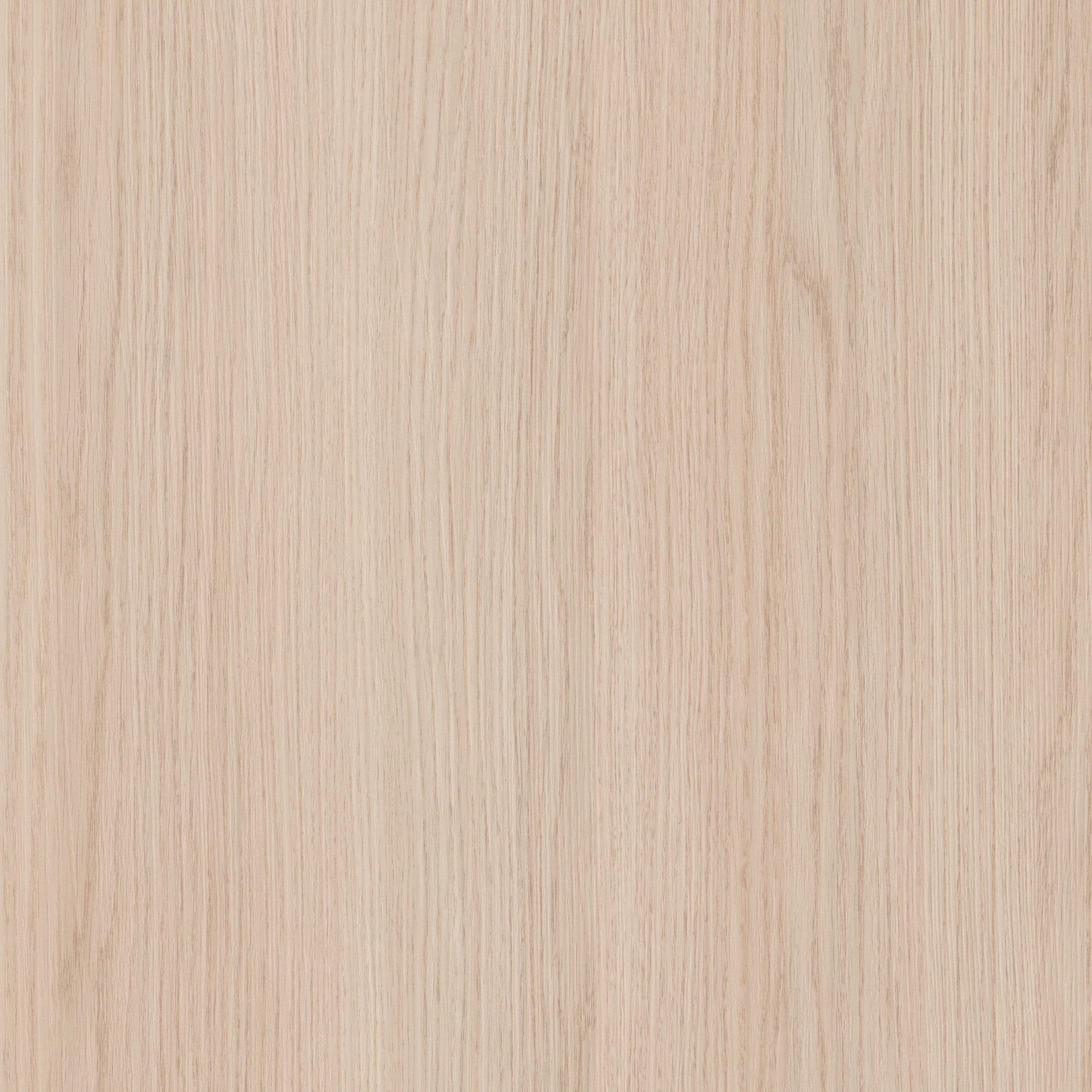 Light Vicenza Oak